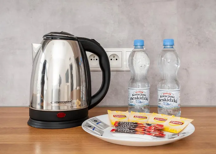 公寓 Plac Niepodleglosci Comfort 罗兹